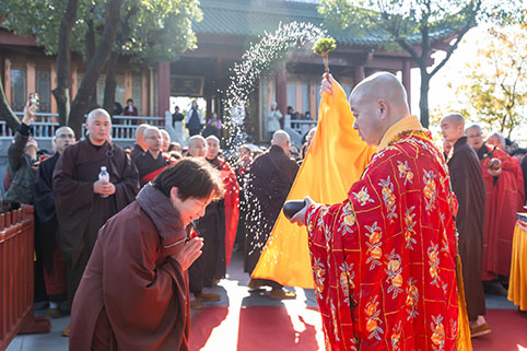 5E8A6482.jpg 5E8A6482.jpg