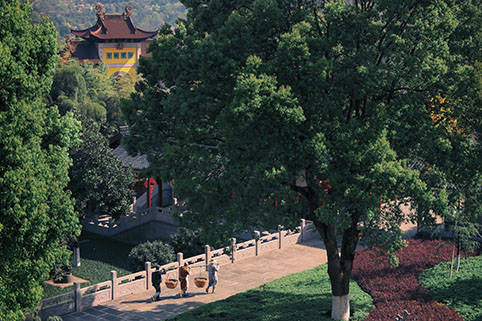 0G2A3565.jpg 0G2A3565.jpg