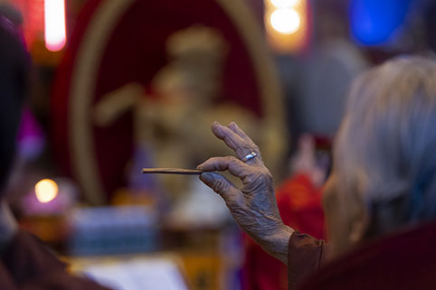 QP4A0275.JPG QP4A0275.JPG