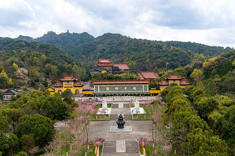 7b7a9c38177fa292bfd396fe3cd9cc00.jpg 7b7a9c38177fa292bfd396fe3cd9cc00.jpg